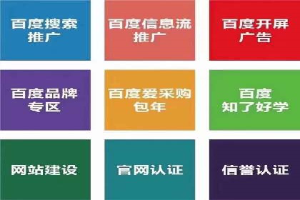 SEM托管服务，成功案例展示转化优势